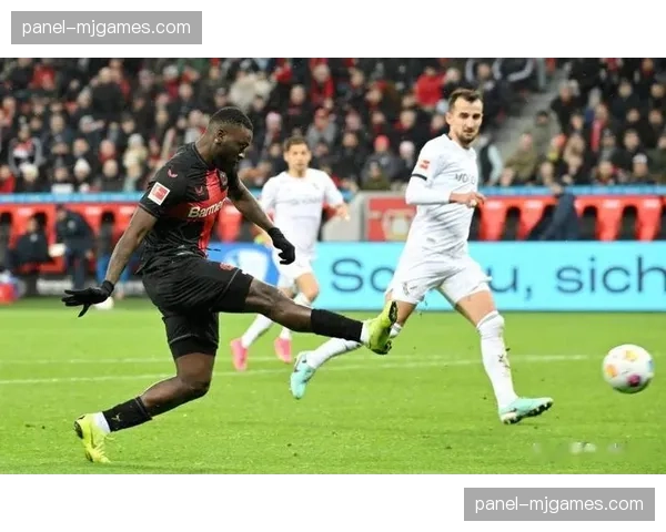 勒沃库森公布赛前训练：三名主力缺席合练，出战成疑